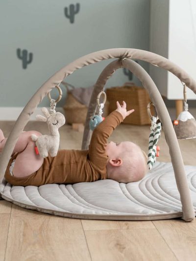 Babygym i dodaci