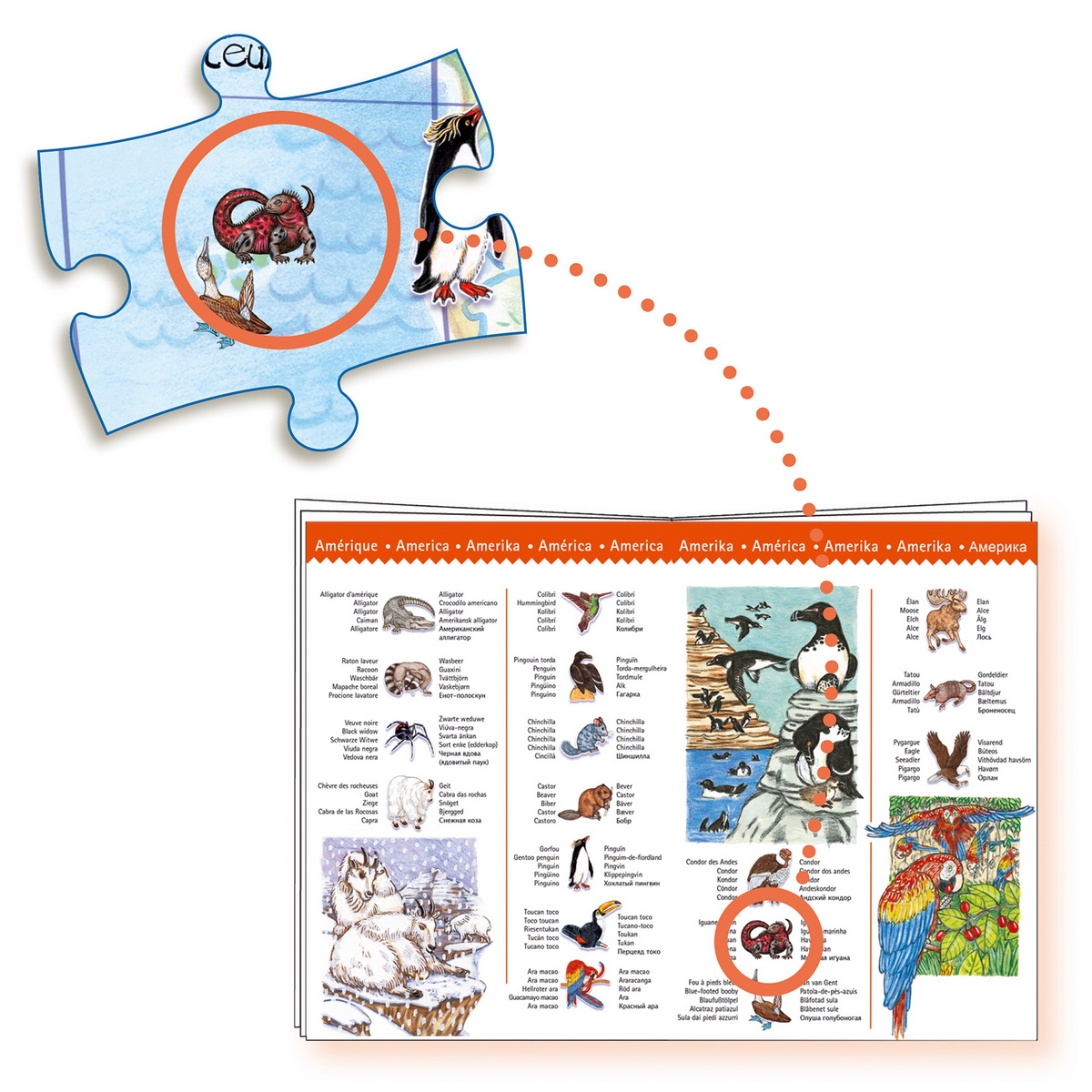 Djeco Edukativne puzzle - Životinje svijeta 100 kom - Image 2