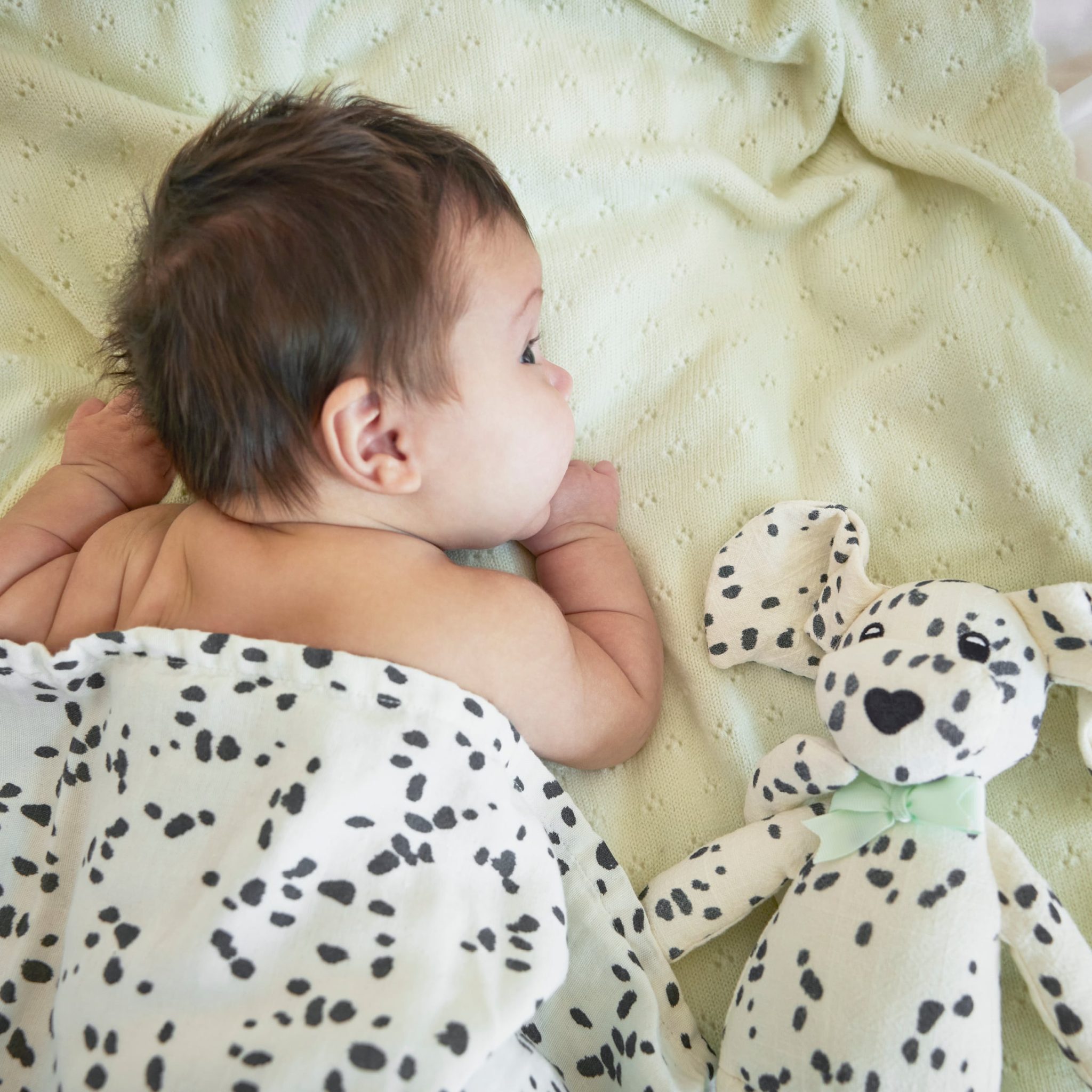 Elodie Mekana muslin dekica 80×80 Dalmatian Dots - Image 4