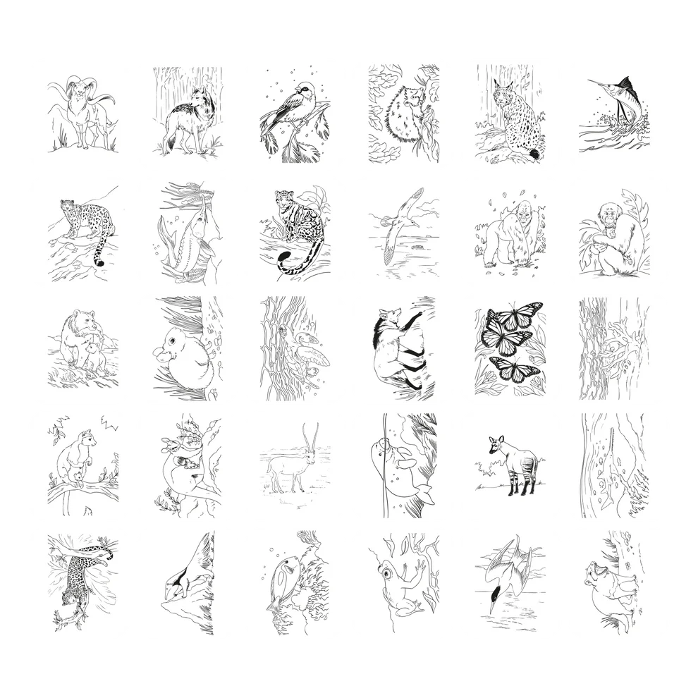 Kidywolf KIDYDRAW PAD Svjetleća tabla za crtanje s 30 ilustracija Animals - Image 9