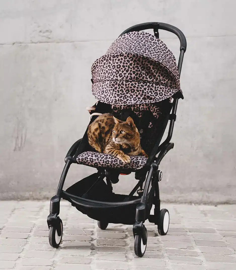 Stokke® YOYO³ 6+ Color Pack Leopard - Image 10