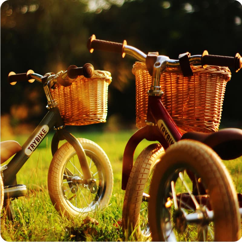 Trybike Pletena korpica - Image 2