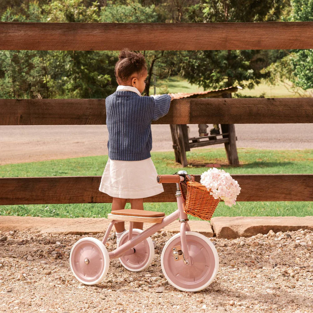 Banwood Tricikl Vintage Dusty Pink - Image 2